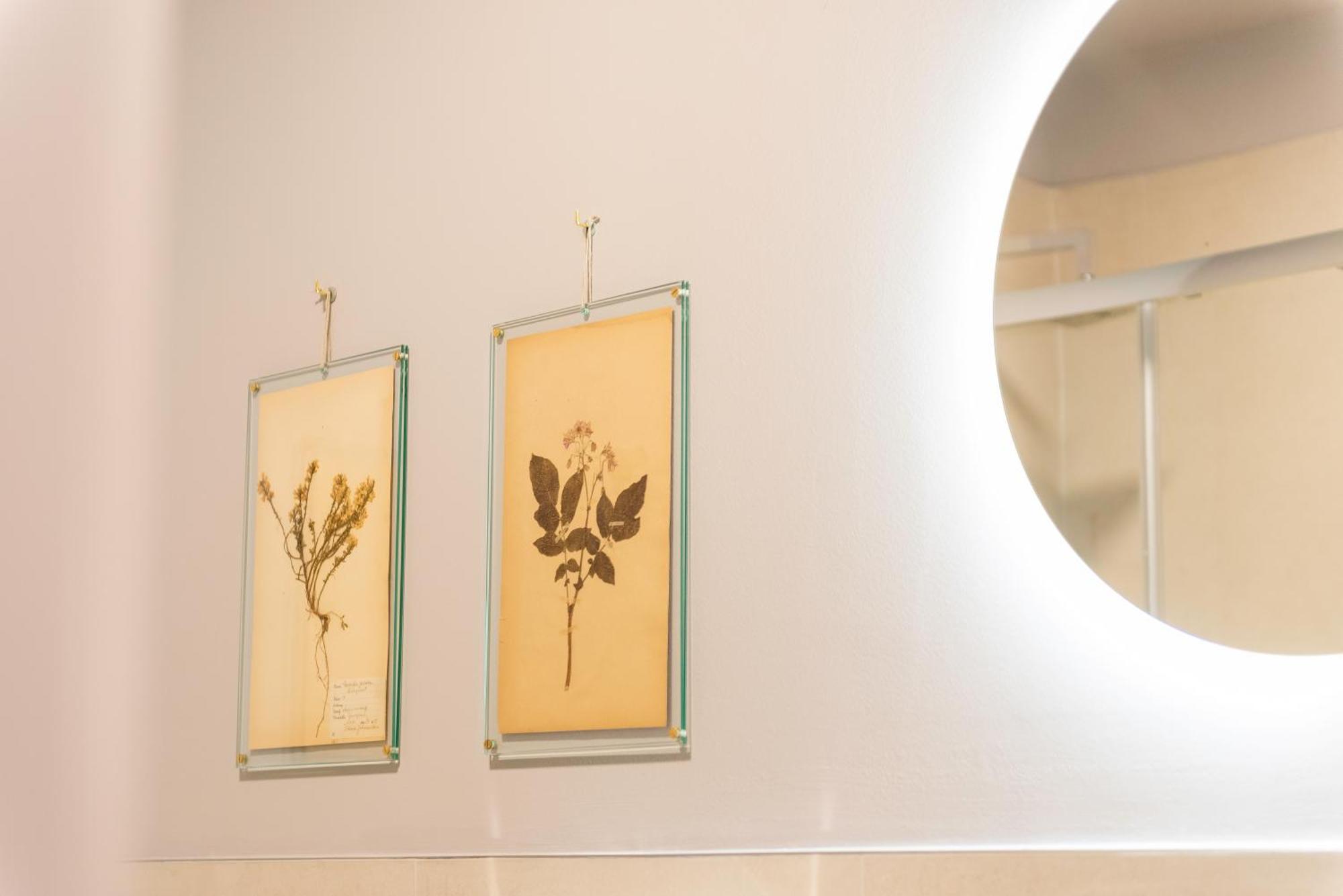 Regina Boutique Apartment Trieste